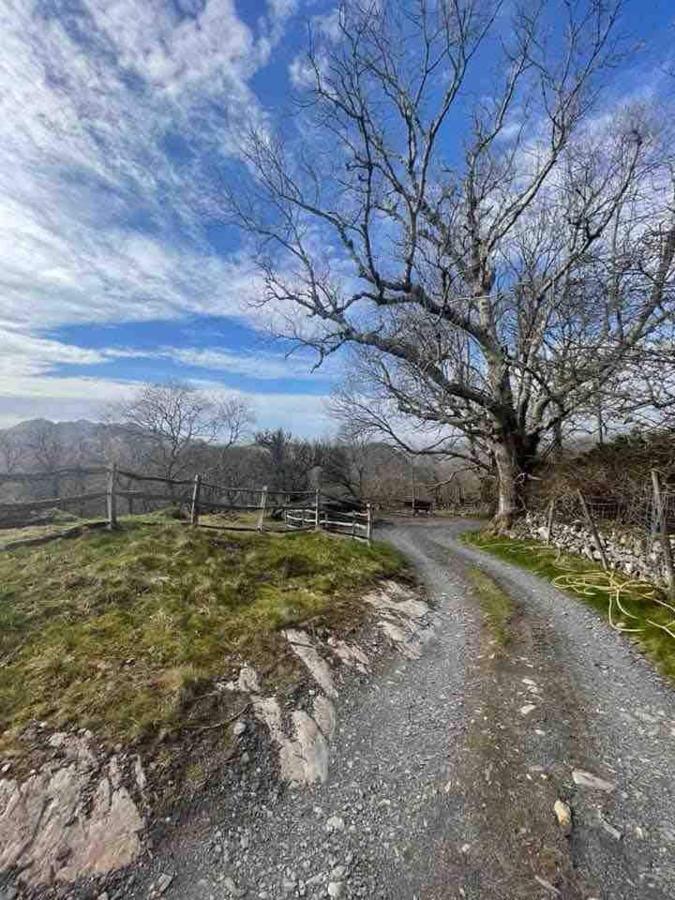 Pandy Farm - Waen Fechan Dolgellau Extérieur photo